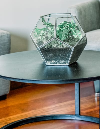 A terrarium on a black round table over a wooden floor. Inside the terrarium (a dodecahedron) are green plants, soil and pebbles.